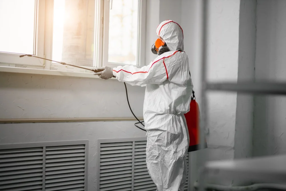 Professional mold remediation services in Bellevue, NE